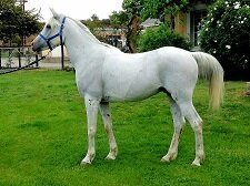 welbech_quick_silver_img20161206wa0006_1.jpg
