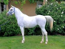 welbech_quick_silver_img20161206wa0007.jpg